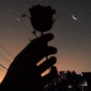 看小少女操逼逼
